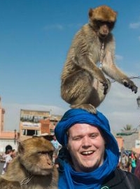 Monkey Business in Marrakech